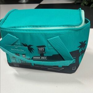 Trader Joe's Teal Mini Insulated Bag